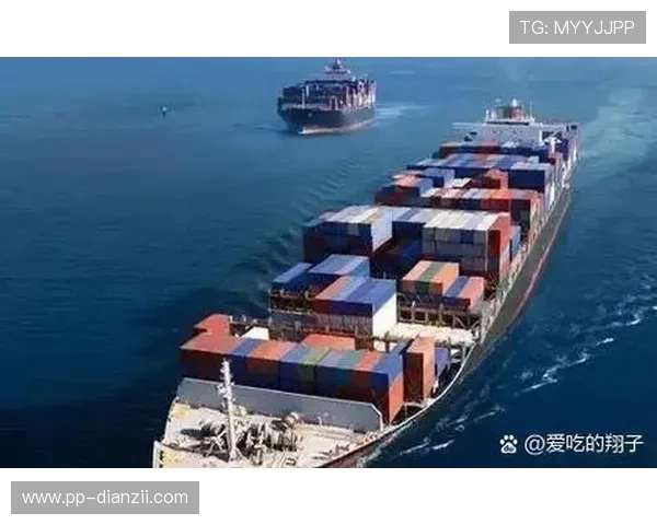 一筒国际平台：开启全球贸易的新机遇与挑战